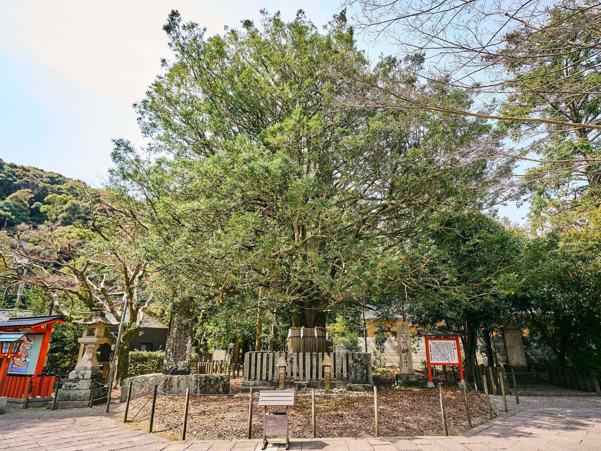 Kokoyui Guesthouse Shingu Exterior photo